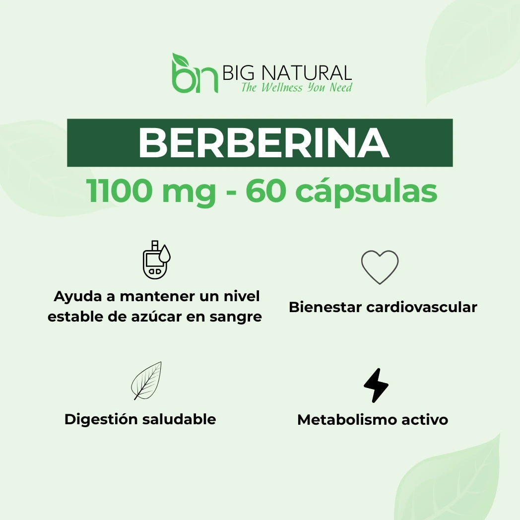 BENEFICIOS BERBERINA