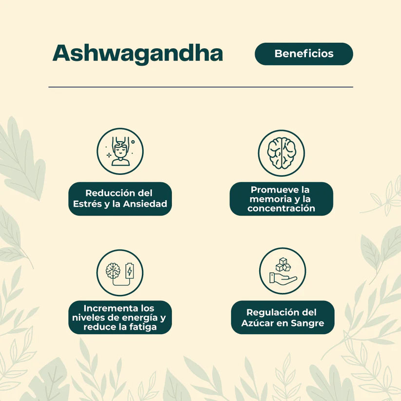 Beneficios-Ashwagandha-extracto
