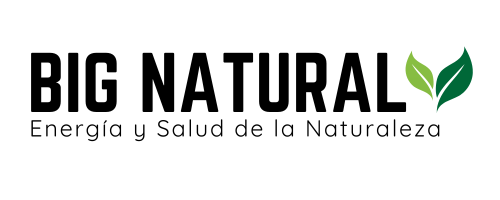 bignatural logotipo