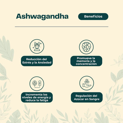 Beneficios-Ashwagandha-extracto