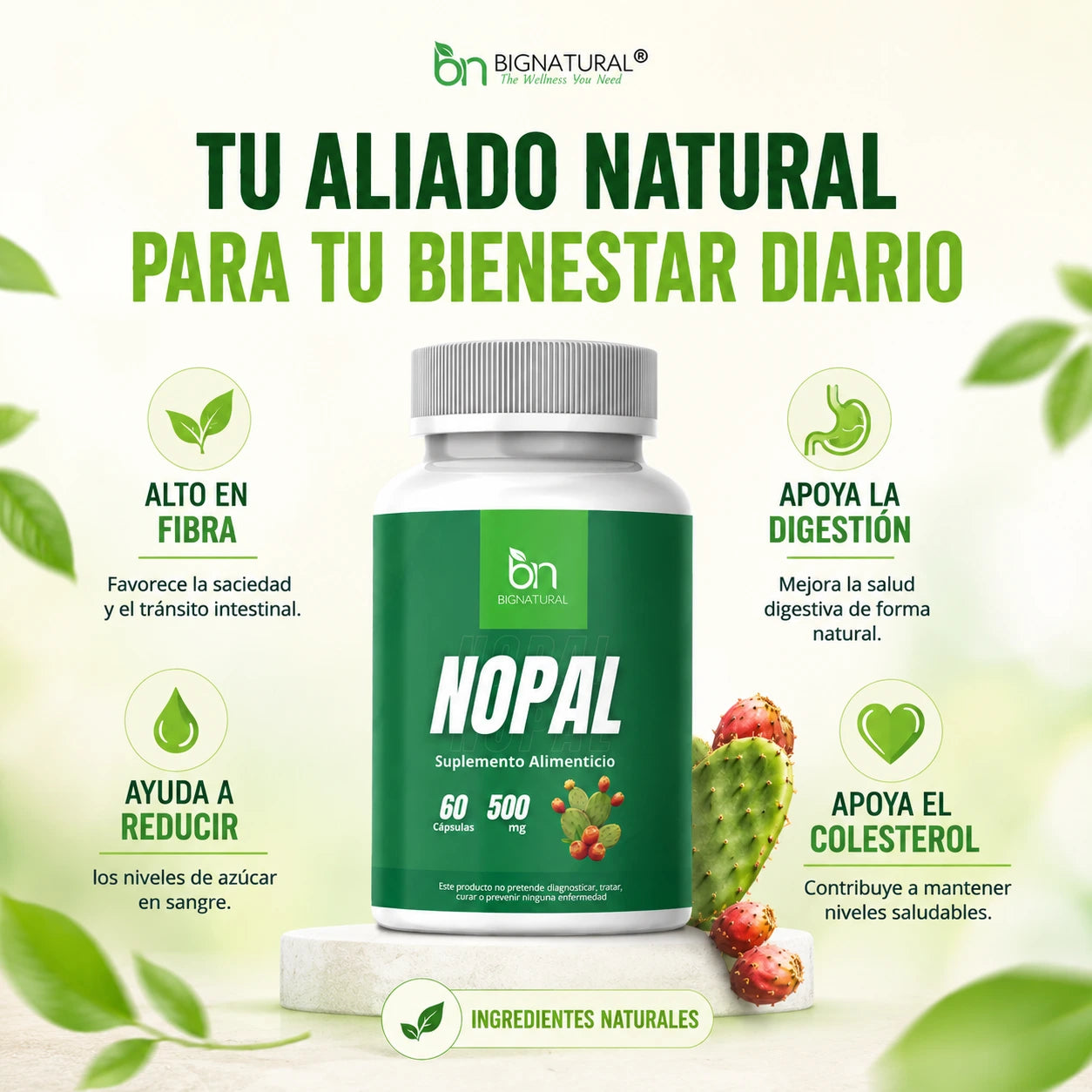 Beneficios del Nopal BIGNATURAL