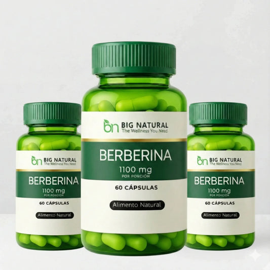 3X Berberina 1100 mg