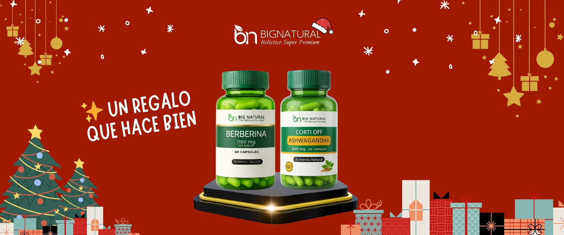 banner navidad bignatural