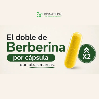 berberina alta pureza y concentracion