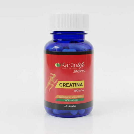 creatina 500 mg 60 capsulas