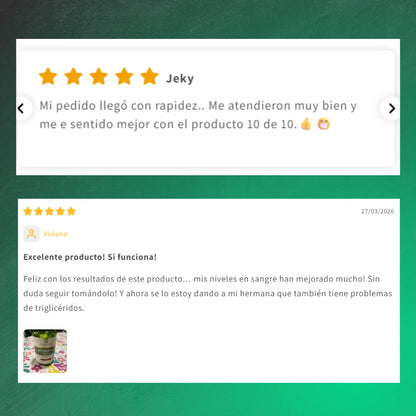 reseñas berberina hcl bignatual